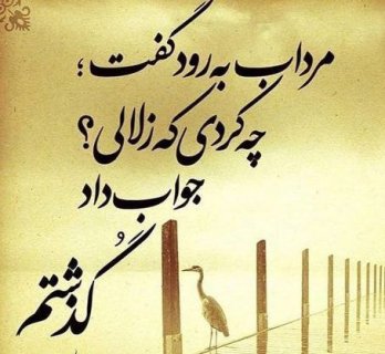 در زندگی گاهی ندیدن و نشنیدن لازم است!