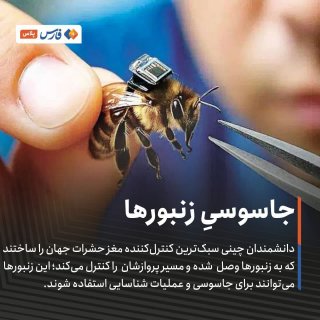 زنبورها هم جاسوس شدند...